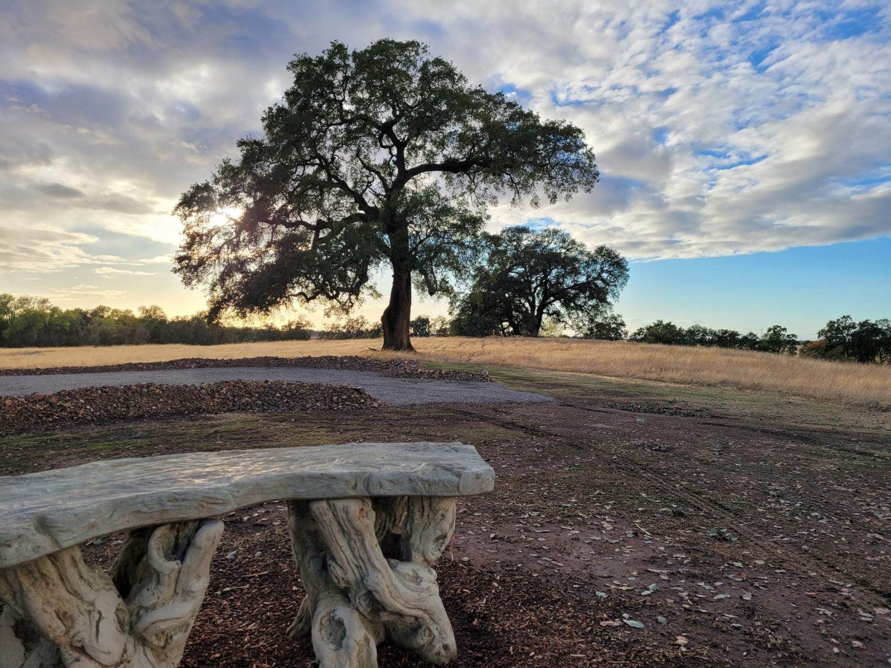 Rustic bench overlooking the beautiful natural landscape