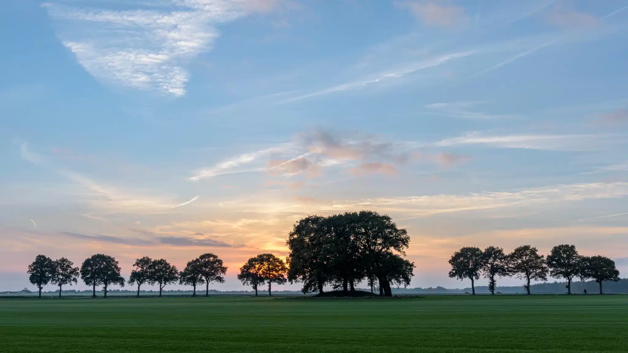 Sunset behind silhouette trees in open field for green burial services in dana point california