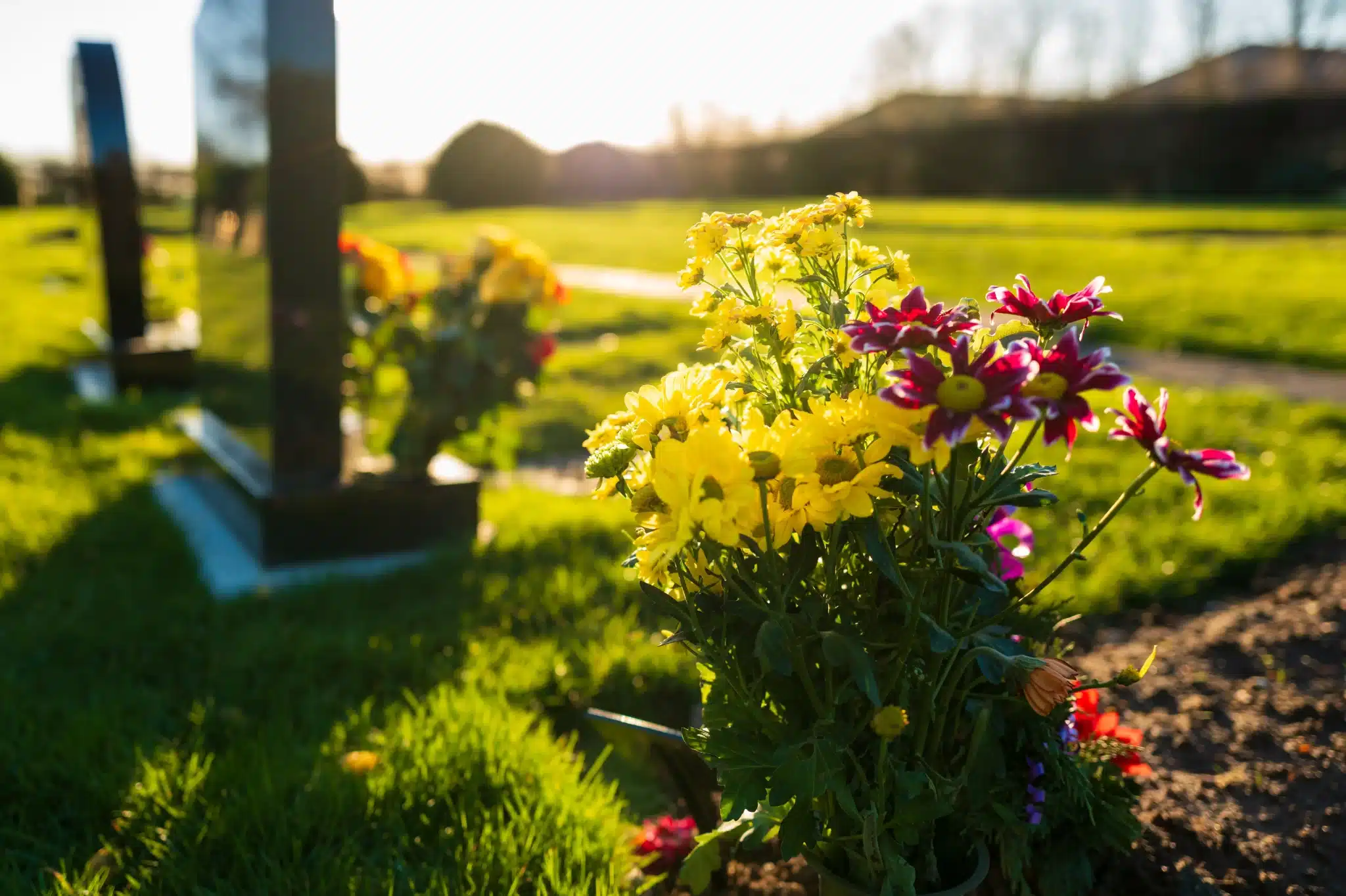 Colorful flowers at sunlit cemetery for green burial services in dana point california