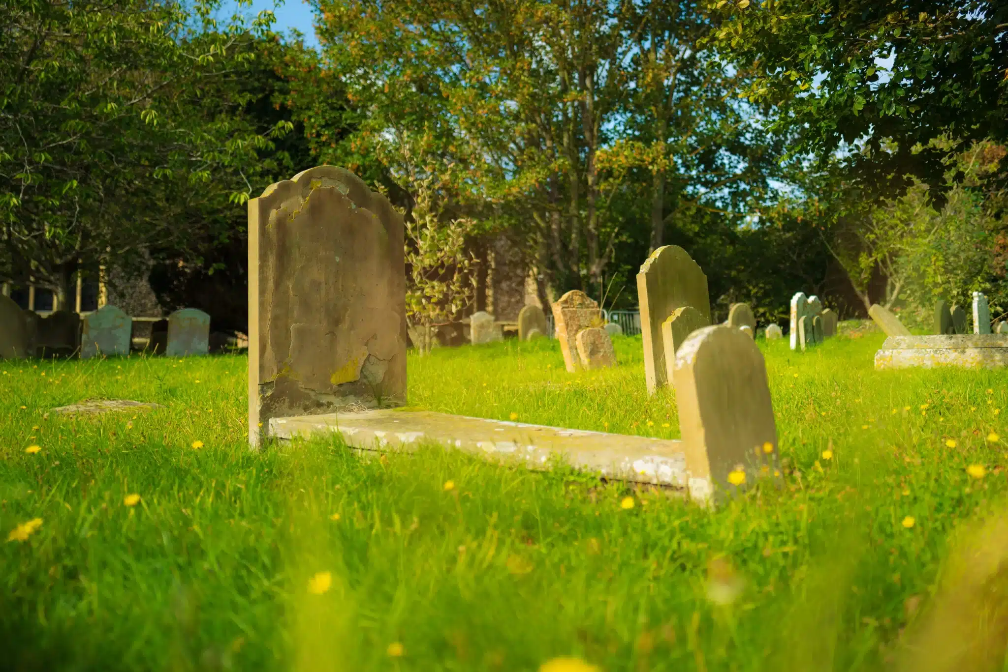 Sunny grassy cemetery with old weathered tombstones