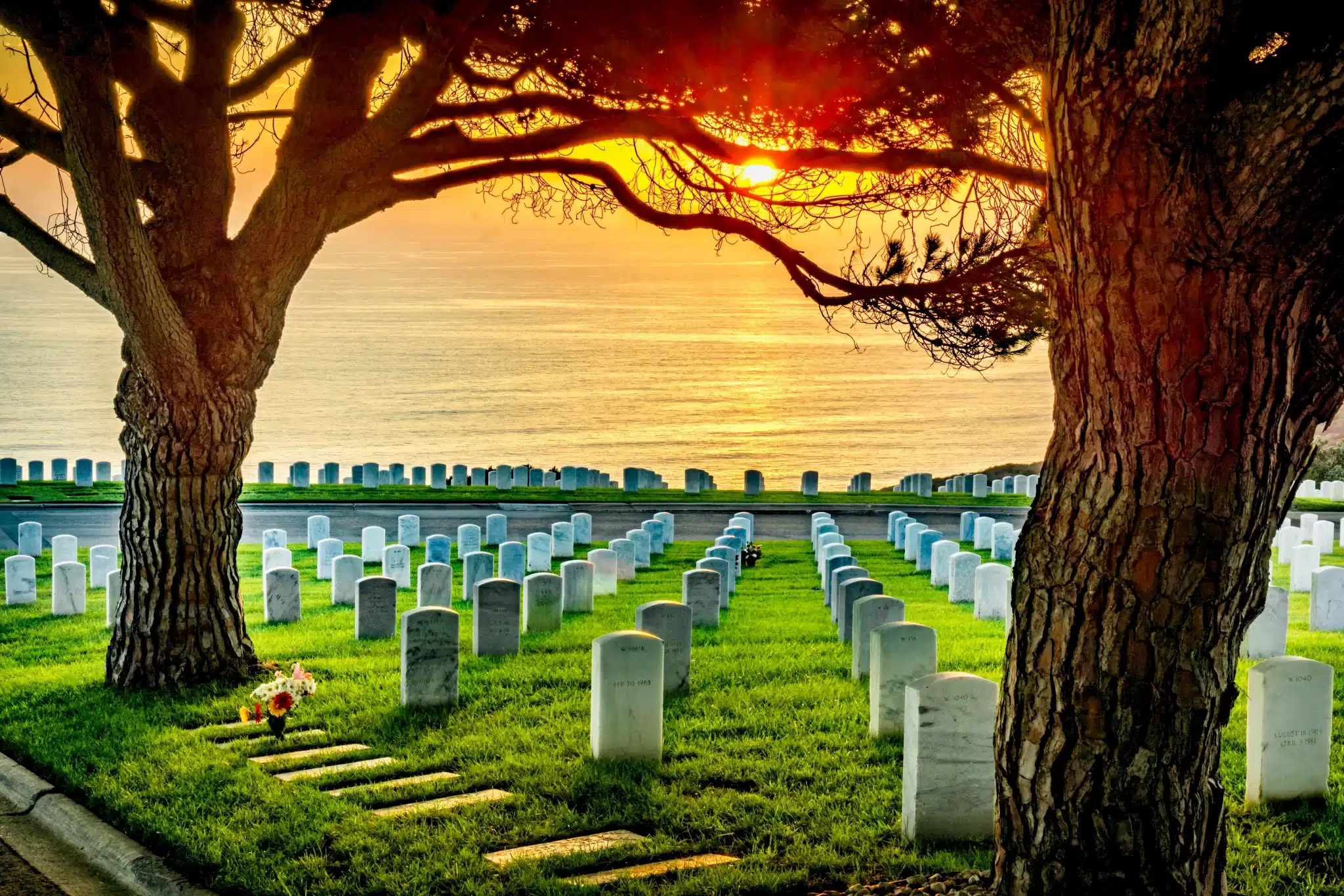 Sunset over cemetery by sea with large tree Green Burial Services in Santa Cruz County, California