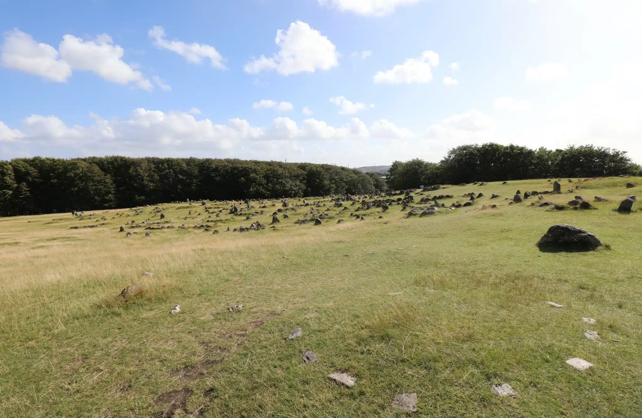 Scenic grassy field strewn with numerous small boulders for green burial services in Laguna beach california